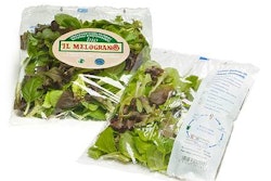 Pw 10117 5 Nl Pi Jb Bio Salad