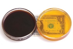 Pw 10960 Pewe Nationaladhesivesdollar