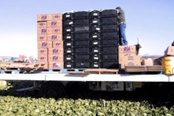 RFID tagging at T&A starts on the harvester machine with bins of lettuce.