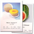 Full-color photo labels can now be found on Hollar Seeds pouches of seeds destined for farmers around the world.