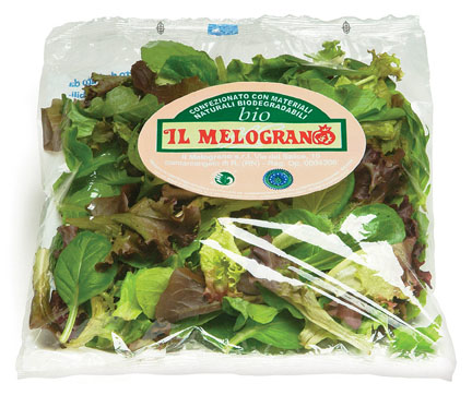 Pw 13009 Eclip Saladpic