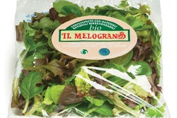 Pw 13009 Eclip Saladpic