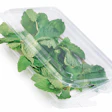 Pw 13606 Directfood