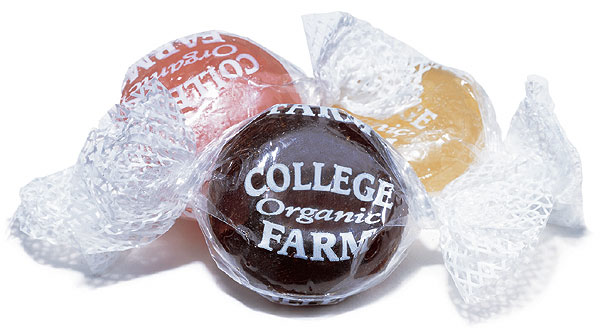 Pw 13723 College Farm1