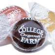 Pw 13723 College Farm1