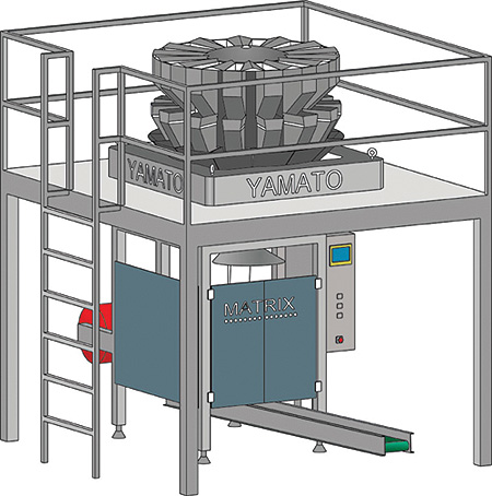 matrix packaging machinery