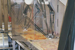 Shown above are two of the three 'delta' style robots that take frankfurters from their random orientation and organize them int