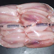 Pw 14383 Sealed Air