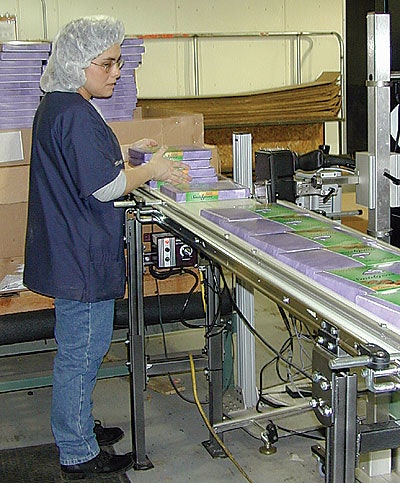 A worker feeds wrapped boxes of chocolates onto a V-belt conveyor for conveying past an ink-jet coder.