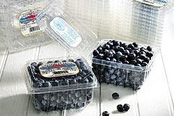 Fabri-Kal customers use labeled clamshells to pack a variety of produce, including blueberries and cherry tomatoes.