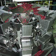 A 10-bucket combination scale feeds a steady supply of sweetened dried cranberries to each waiting case (inset).