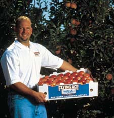 Pw 18314 S Pw 1100 119