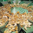Frozen chicken wings are fanned out to individual weigh buckets by a dispersal cone (above). Bagged chicken drops out of the vf/
