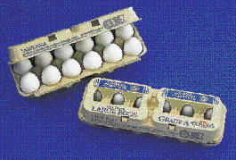 Pw 19897 The120daynot 11