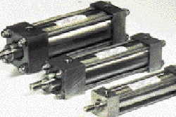 Pw 19908 Anewcorsta 16