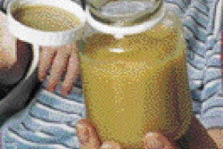 Pw 20046 Thenew Ban Gua 14