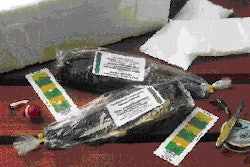 Time/temperature integrator tags (shown here and up close on p. 23) used by Top of the Mountain Trout Co. include three ?indica