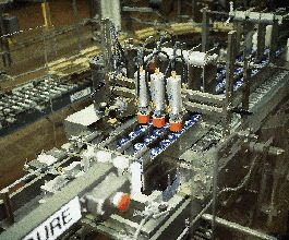 Pw 21436 Onethitha Bob 1