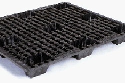 Pw 21549 Buc Mil O Hint 16