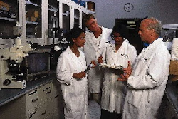 At Kraft Foods? Tarrytown, NY, development laboratories, co-op students work side-by-side with experienced professionals like Ri