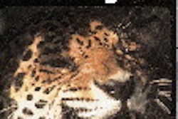 Pw 21898 Fasa Win 55