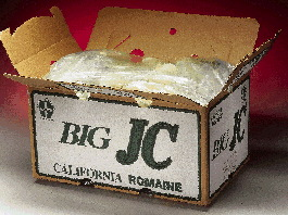 Pw 22170 Usi Clireqmor 1