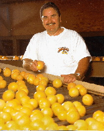 A combination of hot melt and cold glue placement helps maintain seal integrity on citrus cases (above). Harley Nuckels (lef