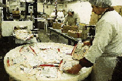 After each bag is coded, it passes through a metal detector and is discharged onto a turntable for manual case packing
