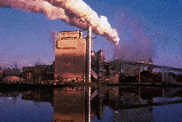 Plumes of steam, a typical byproduct of the papermaking process, are exhausted from Georgia-Pacific?s Crossett, AR, paperboard m