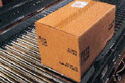 Pw 24903 The Acc Plu 18