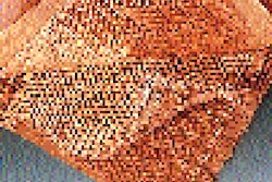 Pw 25108 The Flesys 21