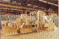 Pw 25522 Desforthepro 21