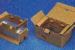 Pw 25570 Whithewasnot 1