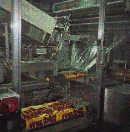 The three photos above show two 24-count trays shrink-wrapped into a single retail pack (top), a single 24-count tray with prot