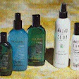 Product visibility and an upscale look are among the advantages gained since Malibu 2000 switched from HDPE (right) to PET bottl