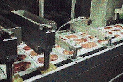 Lidded trays exit the vacuum sealing chamber (upper right) and move through two perforating stations followed by two cross-cutti