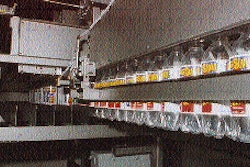 Pw 25910 Ra Pea Spo Wa 16