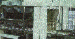 Pw 26002 Assooascup 20