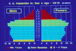 Pw 26429 Thefouprigoa 1