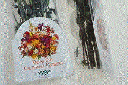 Side view of the thermoformed PVC tray shows its 3 1/2? depth