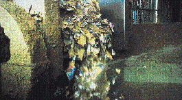 Under conditions prevalent in many repulping operations (120?F, ?10?F, near neutral pH), the addition of Mead?s repulpable wet-s