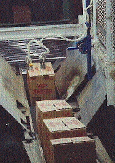 At Trenton brewery, freshly sealed cases of Miller beer pass under the applicator nozzles (above). Pallet loads (top) are