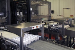 NEST BUILDING. The eggs are 'nested' in contoured cartons and tray flats in various counts, depending on customer requirements.