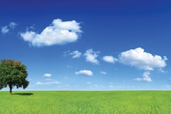 Pw 3943 Blue Skies