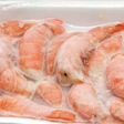 Pw 4166 Jb Istock Frozen