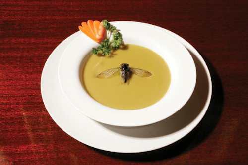 Pw 5320 Fly In Soup