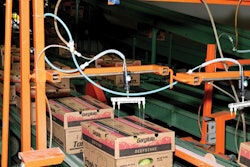 GLUE APPLICATION. The applicator puts narrow sprays of the quick-set, water-based adhesive along the top of the case before it