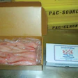 Pw 6680 Dsc01194