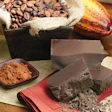 Pw 7389 Chocolate Basic