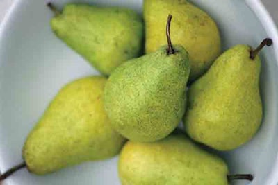 Pw 8313 Pears